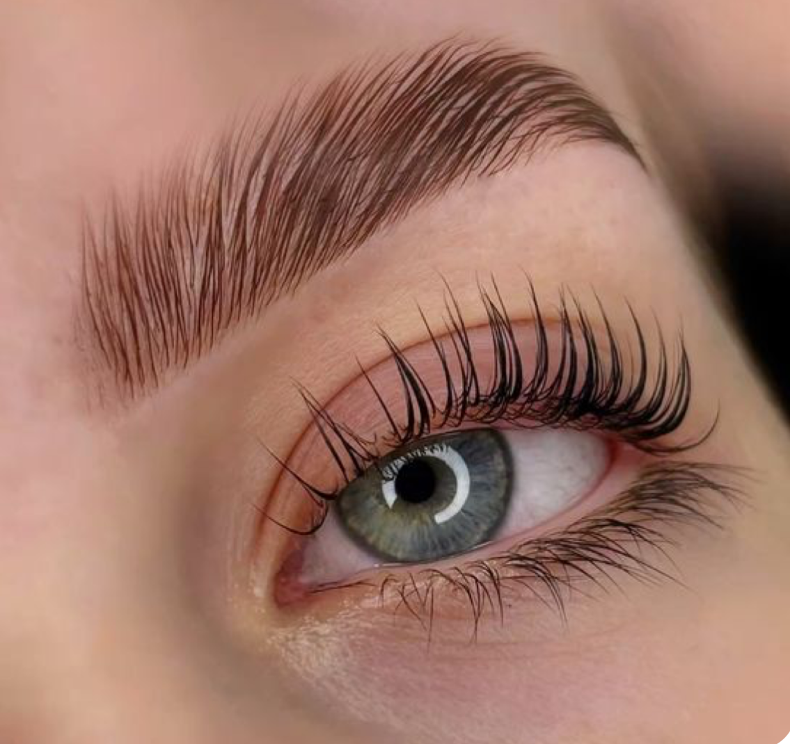 FORMATION PRÉSENTIELLE REHAUSSEMENT+BROWLIFT (1j)