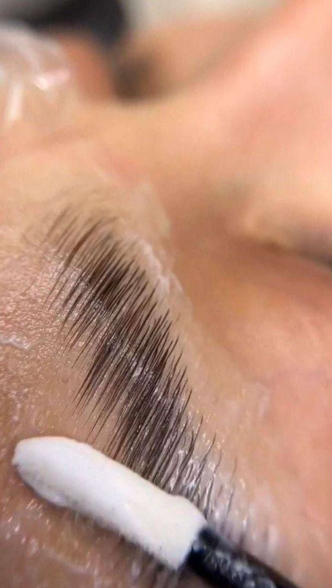 FORMATION PRÉSENTIELLE REHAUSSEMENT+BROWLIFT (1j)